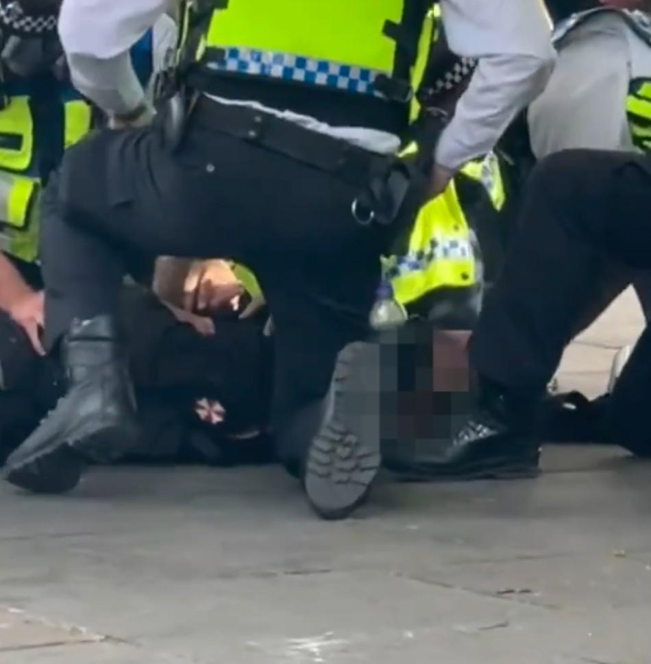 可以看到一 可以看到一