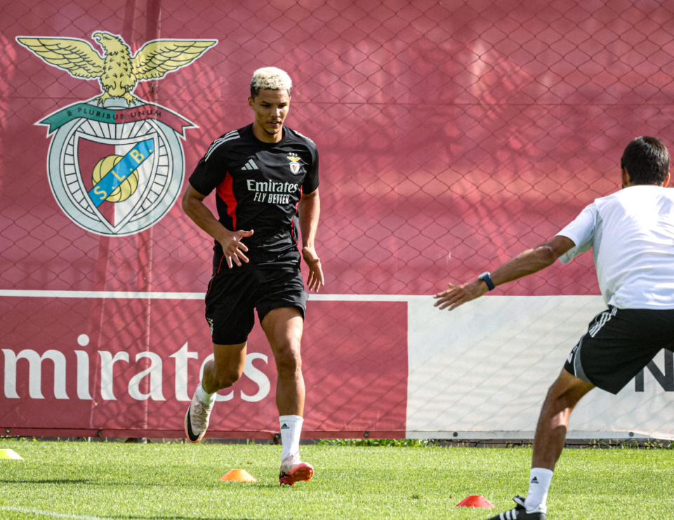 果负责, 号奥斯内斯 果负责, 号奥斯内斯