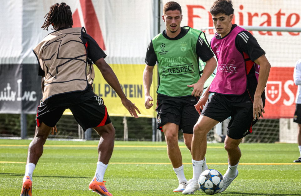 方网站, 雷内切亚双 方网站, 雷内切亚双